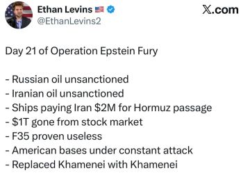 Подводим итоги 21 дня операции "Ярость Эпштейна" с журналистов Итаном Левинсом: