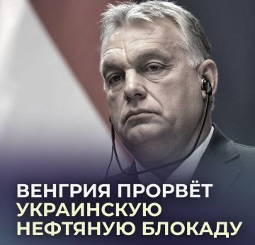 ������� �� ��������, ����� ���� ��������� ������� �������