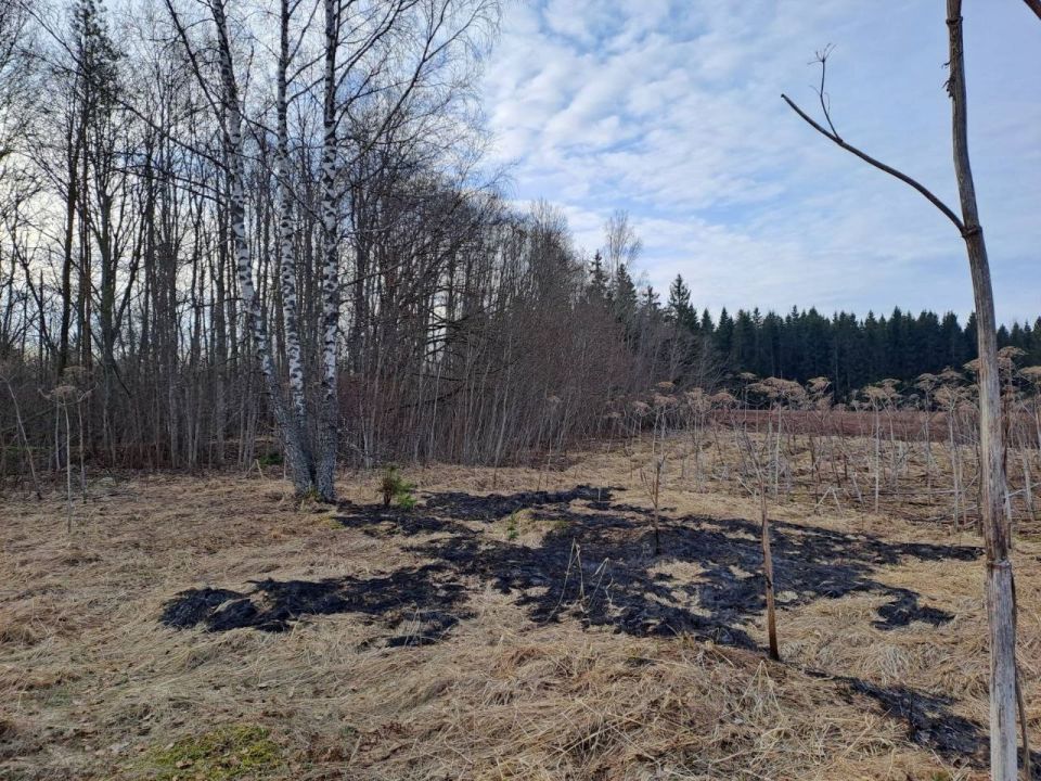 Дрон, упавший в Латвии Дрон, упавший в Латвии