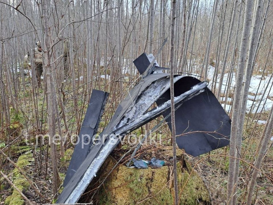 Беспилотник, который вошел в воздушное пространство Латвии и взорвался в Краславском крае, был украинским и должен был атаковать объекты в России Беспилотник, который вошел в воздушное пространство Латвии и взорвался в Краславском крае, был украинским и должен был атаковать объекты в России
