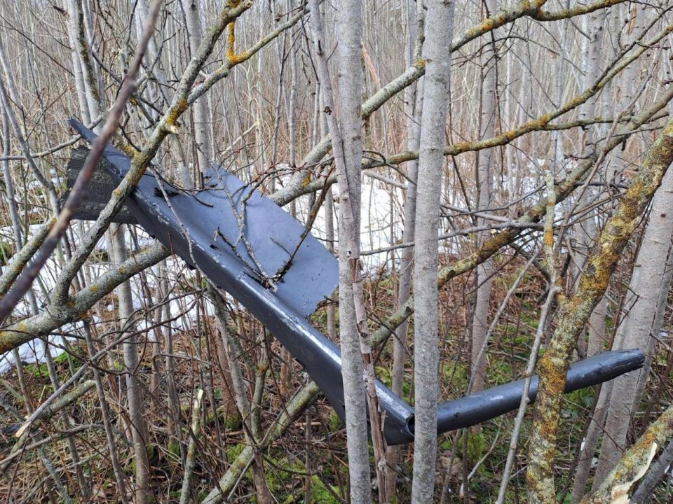 Дрон, упавший в Латвии Дрон, упавший в Латвии