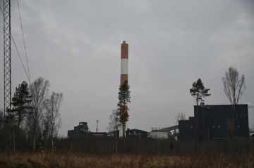 Украинские дроны нанесли удар по Латвии и Эстонии