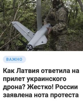 ������ ����������: ��� ������, ���� �� ����� � ���� ���������� �������?