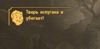 Ряды дрогнули: хохлоофицер госпогранслужбы в Закарпатье, накошмарившись вдоволь «ухилянтов», почувствовал пятой точкой, что лафа не вечна, и, не дожидаясь ротации, сбежал за границу во время службы, сетуют украинские «СМИ»