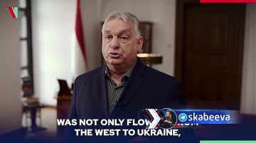 ����� ������������� � ������������� ���� ������ � ������ ����� ����������