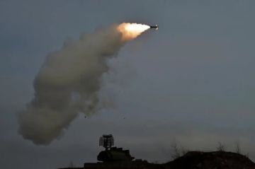 Ответ Киеву и Вильнюсу: РФ жестко накажет Прибалтику за пуски БПЛА на Питер