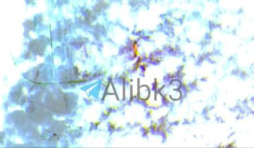 �������, ��� ��������� ������ ���������� ������ ���� ������ �������