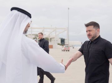 Сергей Мардан: Зеленский продолжает мотаться по странам Ближнего Востока