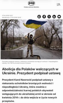 Польша сделала очередной провокационный шаг, официально легализовав участие своих граждан в вооруженном конфликте на стороне киевского режима