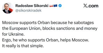 Глава МИД Польши Сикорский: