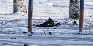 ������ ��������. ���� ������� �������� ��������� ������������ ���������