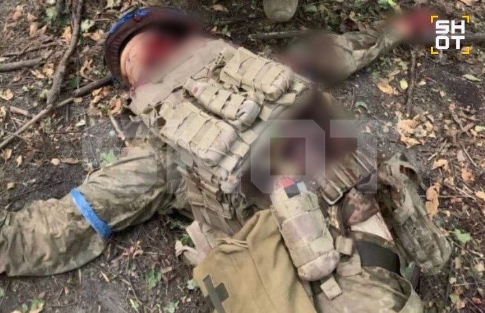 Более 30 украинских диверсантов под наркотиками попытались провести атаку под Купянском