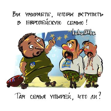 Михаил Онуфриенко: Зелебобиус заявил, что удар по кастрюлеголовым ПВО в ОАЭ - фейк