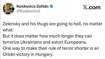 Венгерский аналитик Золтан Кошкович: