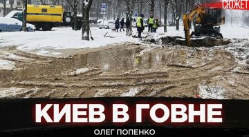 ���� ������ � ����� � ������ ��������� ����������� ��� ����� �� 3 ���, ���� �� ����������� ������ ������� ����