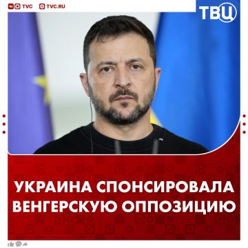 ��������� ����������� ��������� 5 ��������� ���� ���������� ���������