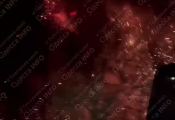 � ���� �� 29 ����� ������� ����������� ������������� ����� ������, �������� ��������� ���� ���