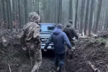 Спёрли даже минометы. ВСУ обворовали другие украинцы