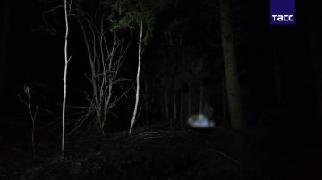 ��� ���������� ������ �����, ������� ���������� ������ � �����������