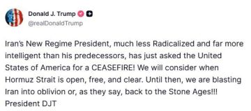 Дедушка живет в какой-то своей мультивселенной