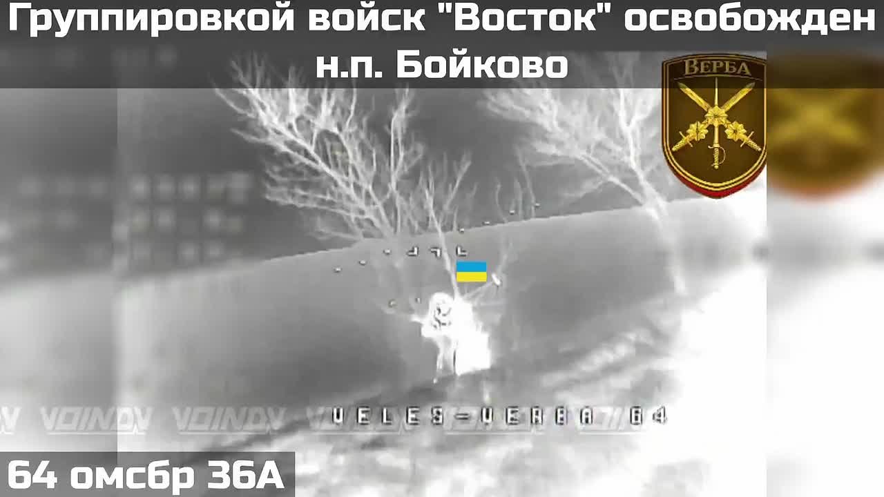 Российские военные освободили населенный пункт Бойково в Запорожской области, сообщает Telegram-канал "Воин DV"