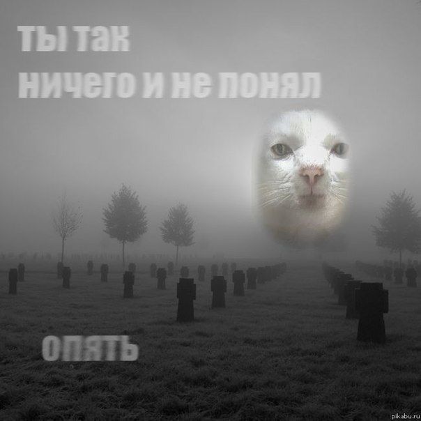 Дмитрий Стешин: Нет ничего более лицемерного и омерзительного, чем "пасхальное перемирие"