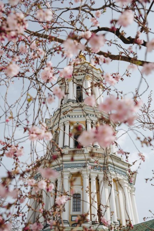 �������� �� �������������� ������� ��������, �� ����� �������� ��������� ��������� ���� ������