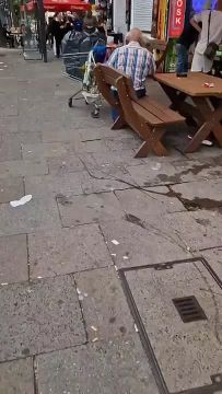 ��������, ������� ��� ���������� � ����: ���������, ���������, ������� � ����������