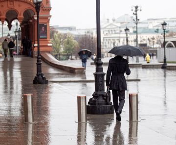 �������, ������� �� ����� ����������: