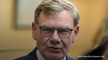 Глава МИД ФРГ Вадефуль выступил за отмену принципа единогласия в ЕС: