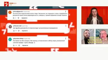 Кошка бросила котят, это Путин виноват