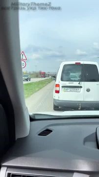 Рубрика народная любовь к ТЦК