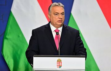 ������ ����� ��������� �������� ����� �������