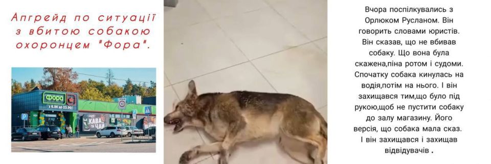 ���� �������.. ����� � ��������� �������� �������� "����" ������� ���� ������ ������