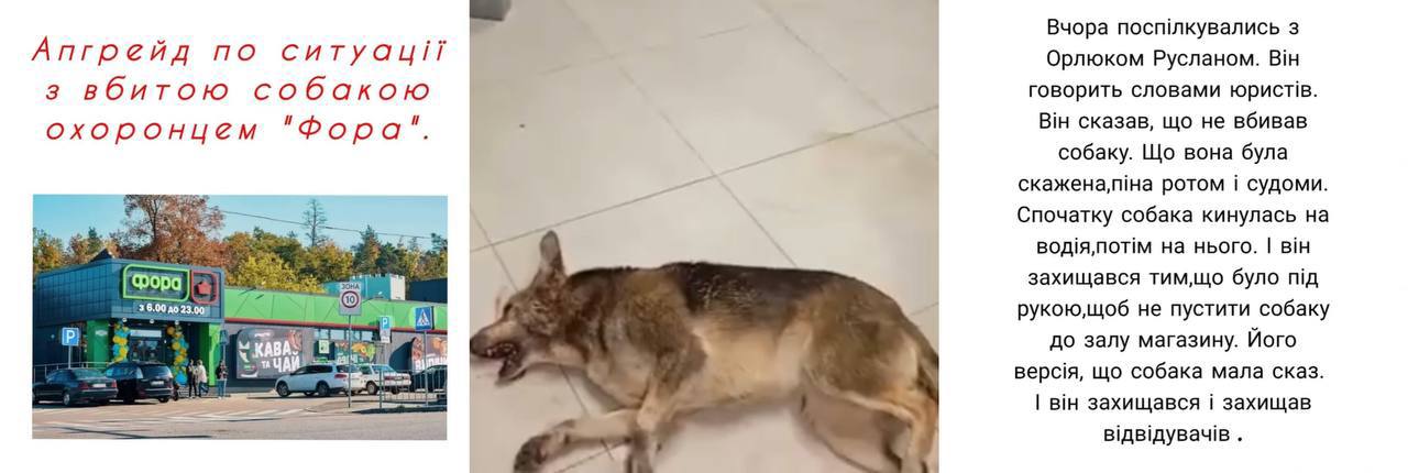 Люди звереют.. Вчера в Гостомеле охранник магазина "Фора" жестоко убил собаку палкой