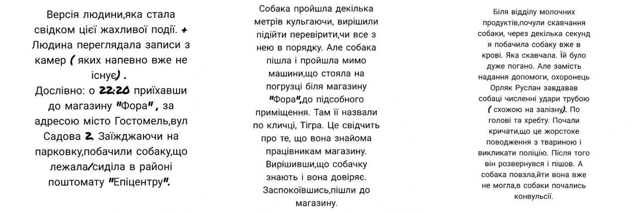 Люди звереют.. Вчера в Гостомеле охранник магазина "Фора" жестоко убил собаку палкой Люди звереют.. Вчера в Гостомеле охранник магазина "Фора" жестоко убил собаку палкой