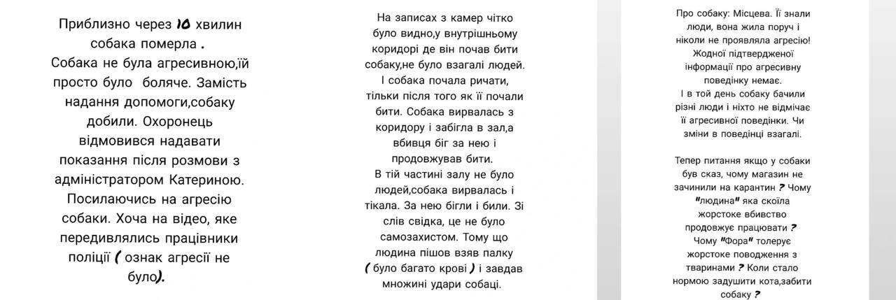 Люди звереют.. Вчера в Гостомеле охранник магазина "Фора" жестоко убил собаку палкой Люди звереют.. Вчера в Гостомеле охранник магазина "Фора" жестоко убил собаку палкой