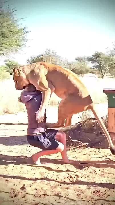 Скажите, а вас котик так же встречает, когда вы возвращаетесь домой? Спокойной ночи, подписчики! Погода в Киеве: 4.. 7.. облачно, небольшой дождь ПОДПИСАТЬСЯ