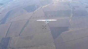 ���� ��������� ������ ���������� ������������ ����� ������ �� �������� ���������� ����� �� �������!