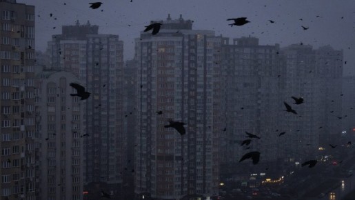 ���������� ���������� �������, ������ � ������� ��������� ���������� �����: