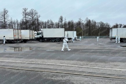 Завершился процесс обмена телами погибших между Россией и Украиной