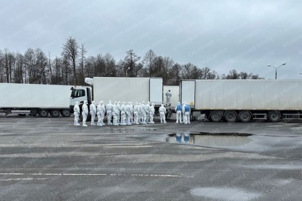 Россия передала Украине 1000 тел погибших военных, украинская сторона в свою очередь передала 41 тело российских военнослужащих