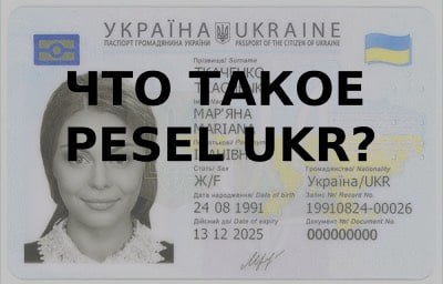 Украинские беженцы в Польше рискуют потерять работу, если не подтвердят и не обновят свой статус временной защиты по новым правилам