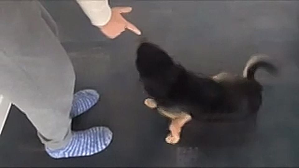 ����� ������� ������ � �������������� ������������ ���? ������ ���� �������?