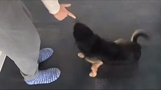 ����� ������� ������ � �������������� ������������ ���? ������ ���� �������?