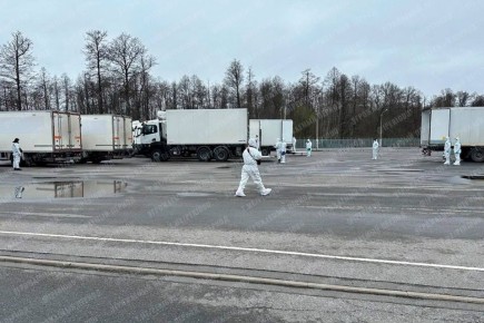 �������� �����: ������ �������� ������� 1000 ��� �������� �������, ���������� ������� � ���� ������� ������� 41 ������� ����� ������