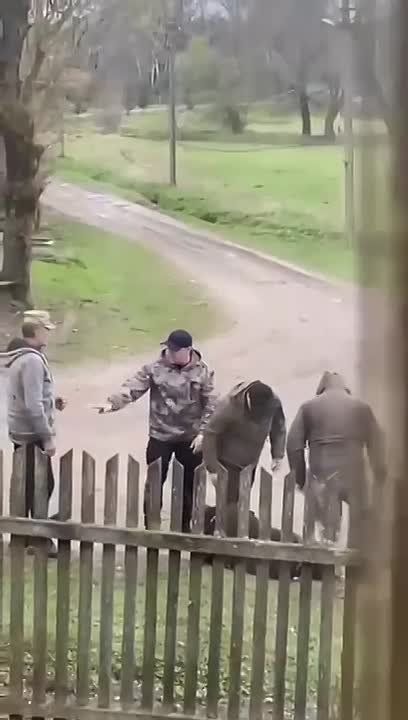 �� ��������� ������� �������� ������ �������� �� ������ � �����������