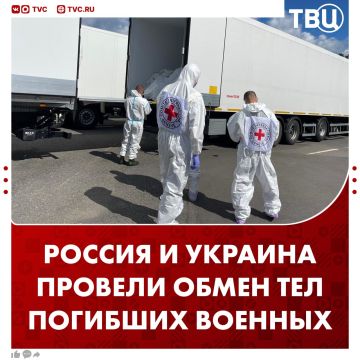 РФ и Украина обменялись телами погибших военных