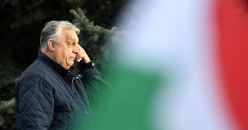 �� ��� �� ��?. ����� � ���������