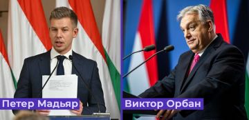 В Венгрии фиксируют рекордную явку на парламентских выборах — 66,01%